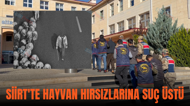 SİİRT’TE HAYVAN HIRSIZLARINA SUÇ ÜSTÜ