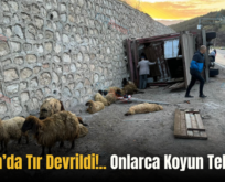 Baykan’da Tır Devrildi!.. Onlarca Koyun Telef Oldu