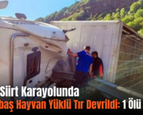 Bitlis-Siirt Karayolunda Küçükbaş Hayvan Yüklü Tır Devrildi: 1 Ölü 1 Yaralı