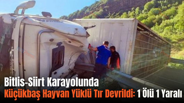 Bitlis-Siirt Karayolunda Küçükbaş Hayvan Yüklü Tır Devrildi: 1 Ölü 1 Yaralı