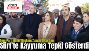 Dem Parti Genel Başkanı Tuncer Bakırhan Siirt’te Kayyuma Tepki Gösterdi