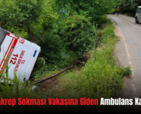 Eruh’ta Akrep Sokması Vakasına Giden Ambulans Kaza Yaptı