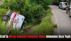 Eruh’ta Akrep Sokması Vakasına Giden Ambulans Kaza Yaptı