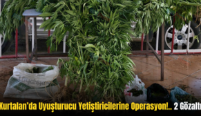 Kurtalan’da Uyuşturucu Yetiştiricilerine Operasyon!.. 2 Gözaltı