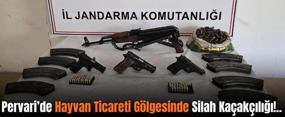 Pervari’de Hayvan Ticareti Gölgesinde Silah Kaçakçılığı!..