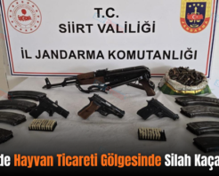 Pervari’de Hayvan Ticareti Gölgesinde Silah Kaçakçılığı!..