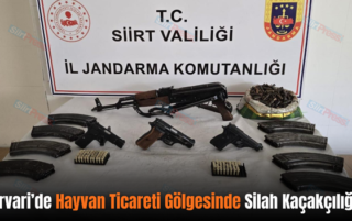 Pervari’de Hayvan Ticareti Gölgesinde Silah Kaçakçılığı!..