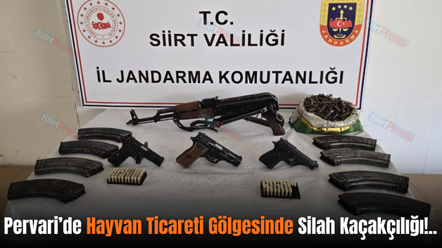 Pervari’de Hayvan Ticareti Gölgesinde Silah Kaçakçılığı!..