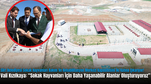 Siirt Belediyesi Sokak Hayvanları Bakım Ve Rehabilitasyon Merkezi Kapasitesini İki Katına Çıkarıyor!