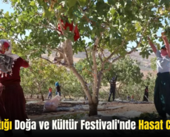 Siirt Fıstığı Doğa ve Kültür Festivali’nde Hasat Coşkusu