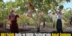 Siirt Fıstığı Doğa ve Kültür Festivali’nde Hasat Coşkusu