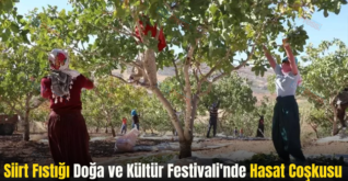 Siirt Fıstığı Doğa ve Kültür Festivali’nde Hasat Coşkusu