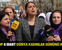 SİİRT HDP 8 MART DÜNYA KADINLAR GÜNÜNÜ KUTLADI