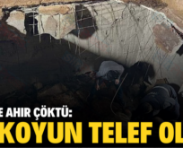 SİİRT’TE AHIR ÇÖKTÜ: 12 KOYUN TELEF OLDU