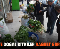 SİİRT’TE DOĞAL BİTKİLER RAĞBET GÖRÜYOR