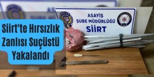 Siirt’te Hırsızlık Zanlısı Suçüstü Yakalandı