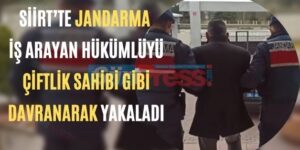 Siirt’te Jandarma İş Arayan Hükümlüyü Çiftlik Sahibi Gibi Davranarak Yakaladı