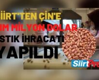 Siirt’ten Çin’e Yarım Milyon Dolar Fıstık İhracatı Yapıldı