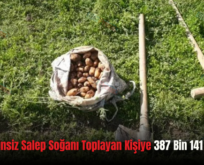 Siirt’te İzinsiz Salep Soğanı Toplayan Kişiye 387 Bin 141 Lira Ceza