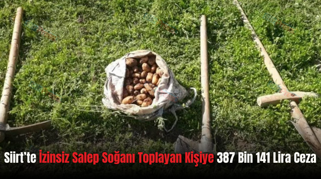 Siirt’te İzinsiz Salep Soğanı Toplayan Kişiye 387 Bin 141 Lira Ceza