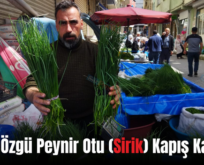 Siirt’e Özgü Peynir Otu (Sirik) Kapış Kapış!..