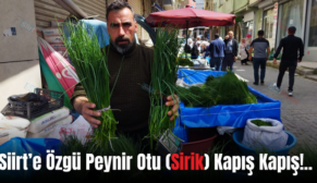 Siirt’e Özgü Peynir Otu (Sirik) Kapış Kapış!..