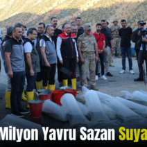 Siirt’te 1 Milyon Yavru Sazan Suya Bırakıldı