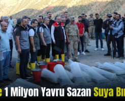 Siirt’te 1 Milyon Yavru Sazan Suya Bırakıldı