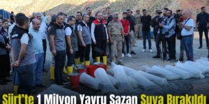 Siirt’te 1 Milyon Yavru Sazan Suya Bırakıldı