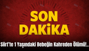 Siirt’te 1 Yaşındaki Bebeğin Kahreden Ölümü!..