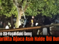 Siirt’te 23 Yaşındaki Genç Mezarlıkta Ağaca Asılı Halde Ölü Bulundu