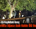 Siirt’te 23 Yaşındaki Genç Mezarlıkta Ağaca Asılı Halde Ölü Bulundu