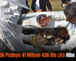 Siirt’te 56 Projeye 41 Milyon 436 Bin Lira Hibe Desteği