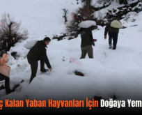 Siirt’te Aç Kalan Yaban Hayvanları İçin Doğaya Yem Bırakıldı