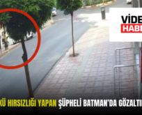 SİİRT’TE AKÜ HIRSIZLIĞI YAPAN ŞÜPHELİ BATMAN’DA GÖZALTINA ALINDI!