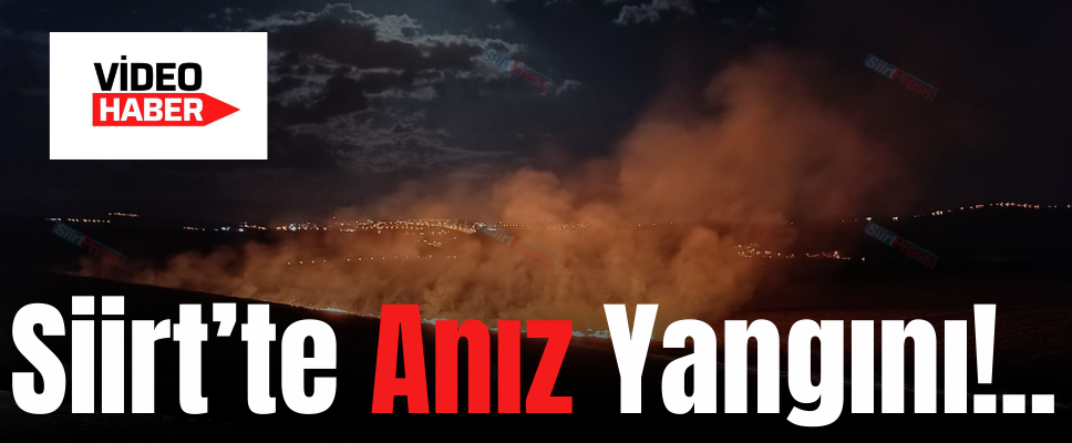 Siirt’te Anız Yangını!..