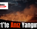 Siirt’te Anız Yangını!..