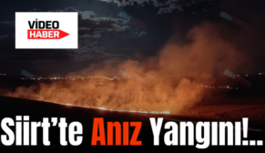 Siirt’te Anız Yangını!..