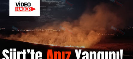 Siirt’te Anız Yangını!..