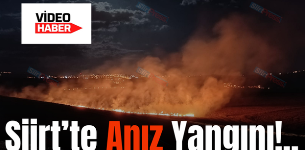 Siirt’te Anız Yangını!..