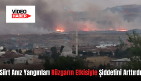 Siirt Anız Yangınları Rüzgarın Etkisiyle Şiddetini Arttırdı