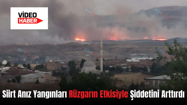 Siirt Anız Yangınları Rüzgarın Etkisiyle Şiddetini Arttırdı