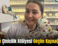 Siirt’te Çinicilik Atölyesi Geçim Kaynağı Oldu