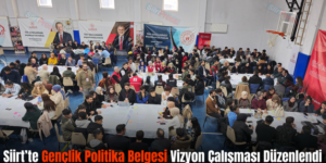 Siirt’te Gençlik Politika Belgesi Vizyon Çalışması Düzenlendi