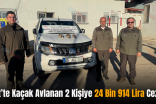 Siirt’te Kaçak Avlanan 2 Kişiye 24 Bin 914 Lira Ceza!..