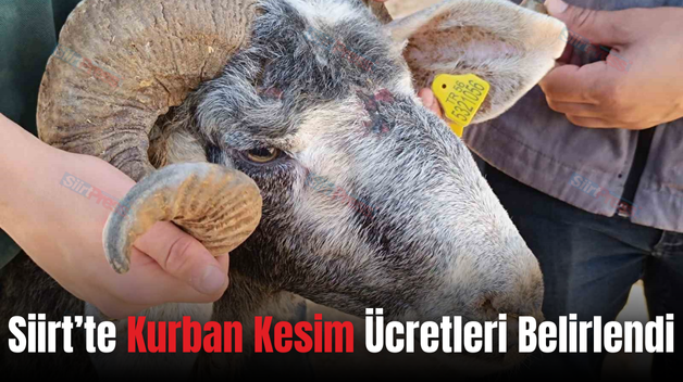 Siirt’te Kurban Kesim Ücretleri Belirlendi