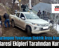 Siirt’te Şarampole Yuvarlanan Elektrik Arıza Aracı Özel İdaresi Ekipleri Tarafından Kurtarıldı