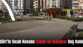 Siirt’te Sıcak Havada Cadde ve Sokaklar Boş Kaldı