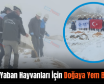 Siirt’te Yaban Hayvanları İçin Doğaya Yem Bırakıldı