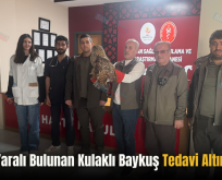 Siirt’te Yaralı Bulunan Kulaklı Baykuş Tedavi Altına Alındı